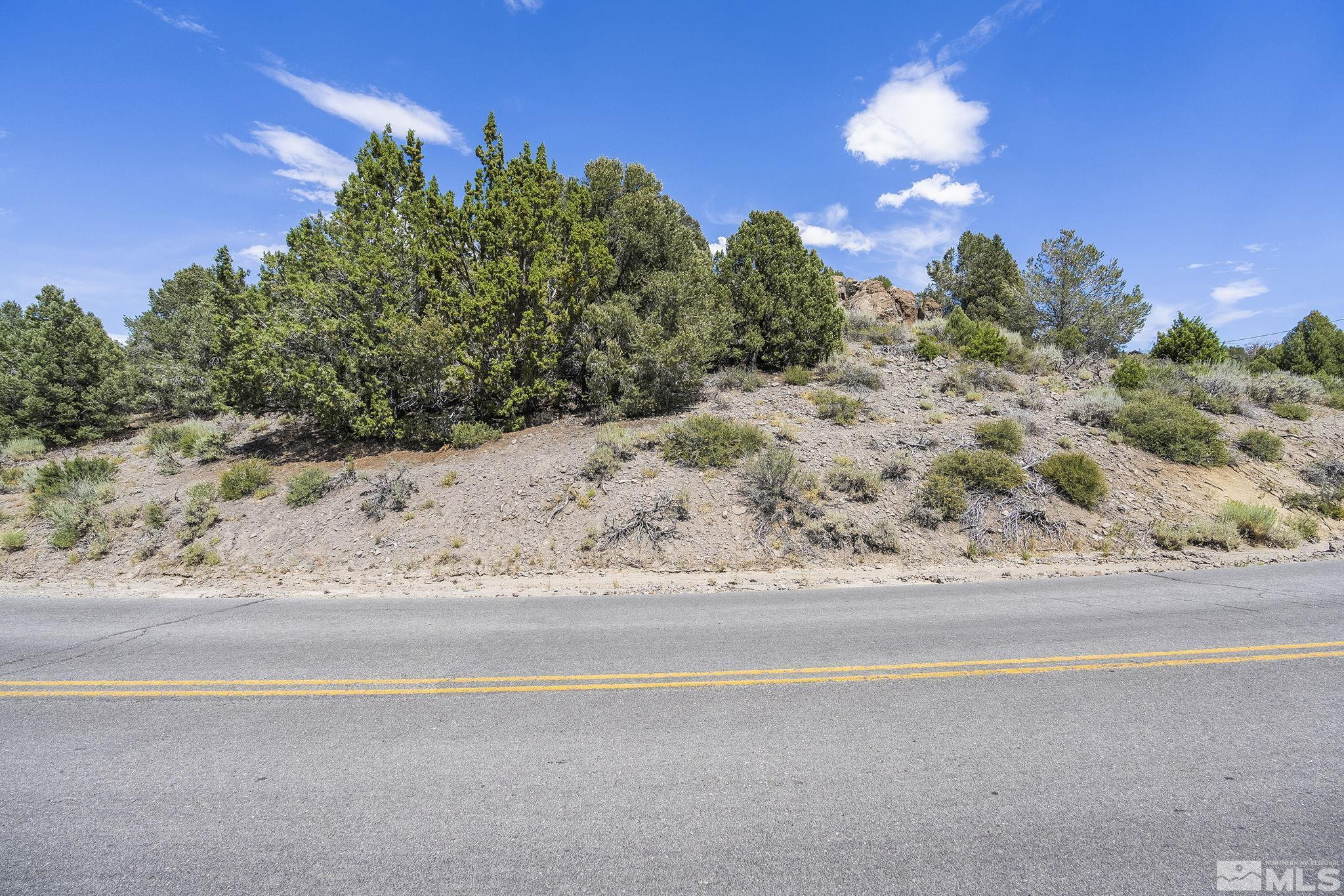 1853 Lousetown Road Reno, NV 89521 - Photo 4 of 17 a view of a road with a yard