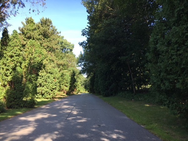 80 Leonard Road, Unit 80 Boxborough, MA 01719 - Photo 6 of 6 a view of a yard with a tree