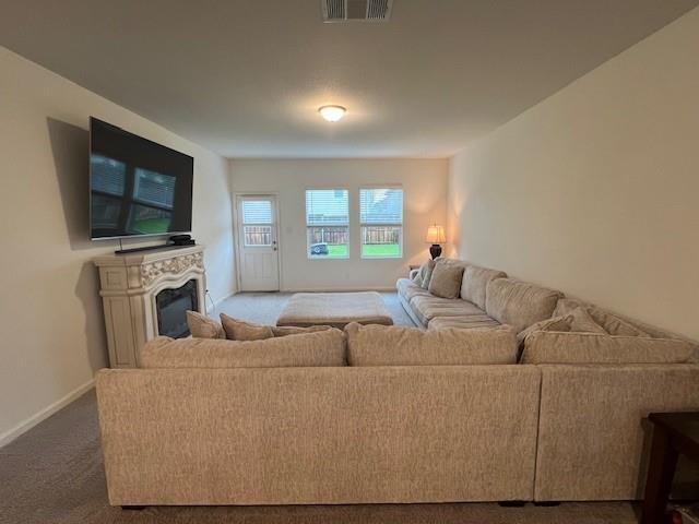 1908 Marquette Road Princeton, TX 75407 - Photo 2 of 14 Spacious living area featuring neutral carpeting, a decorative white fireplace surround, and multiple windows providing natural light
