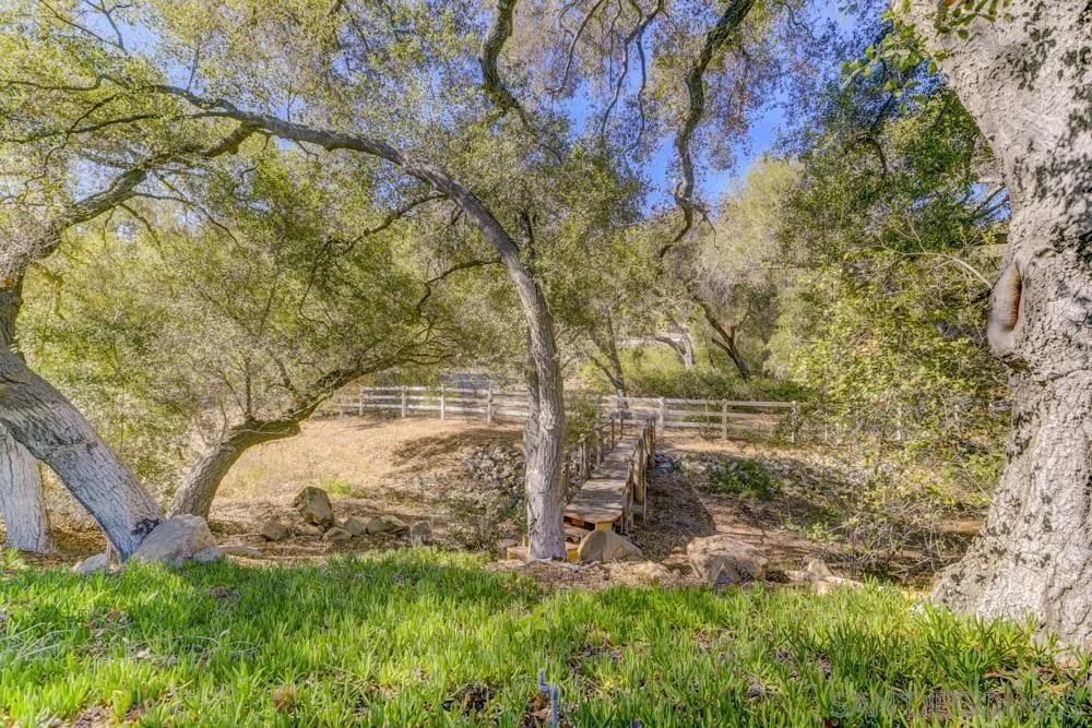 4735 Olive Hill Road Fallbrook, CA 92028 - Photo 15 of 22 a backyard of a house with lots of green space