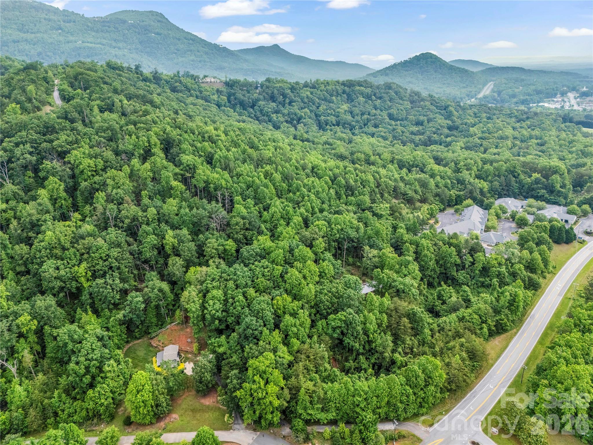 200 Little Wings Mountain Road Columbus, NC 28722 - Photo 2 of 42