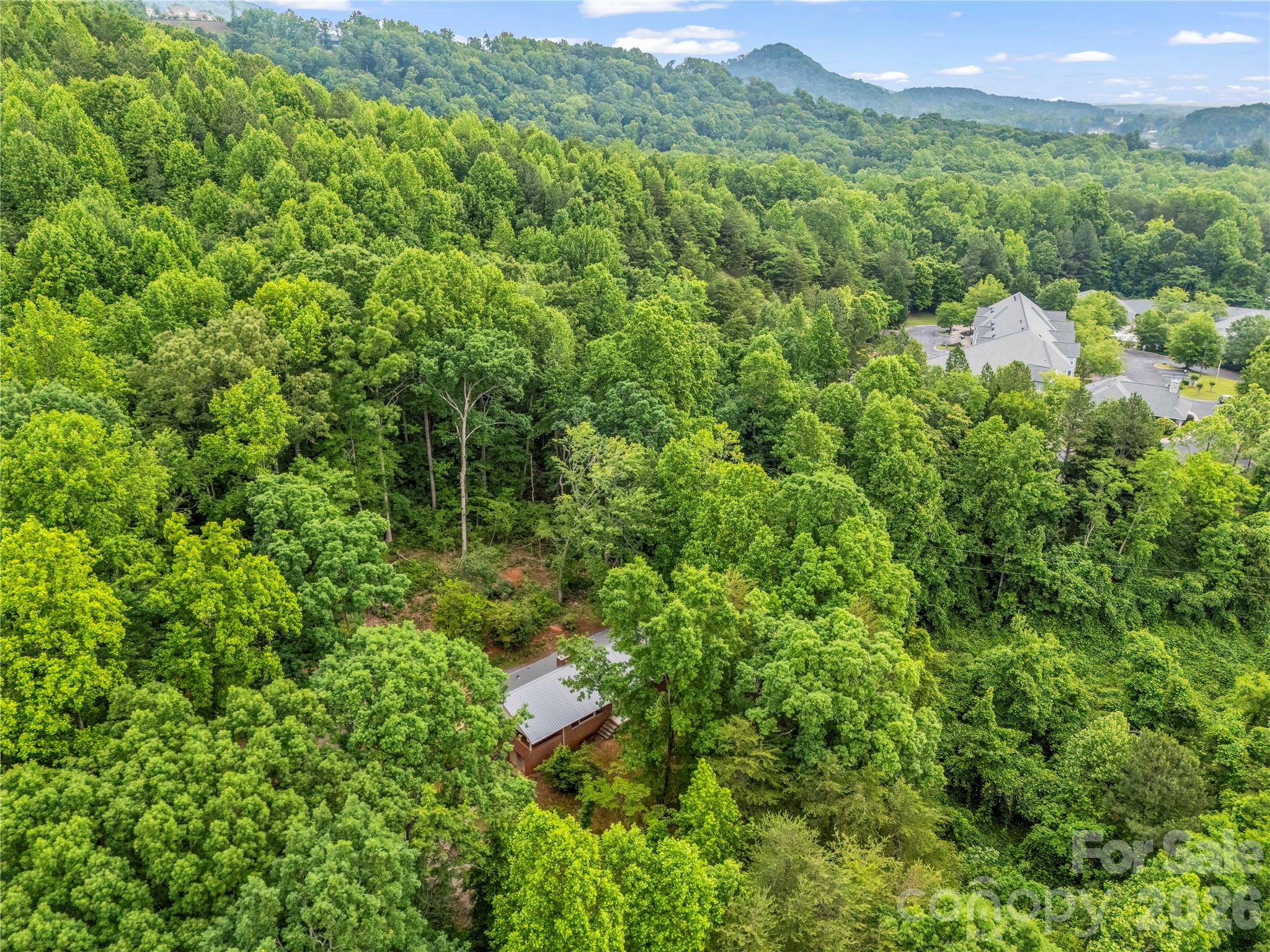 200 Little Wings Mountain Road Columbus, NC 28722 - Photo 34 of 42