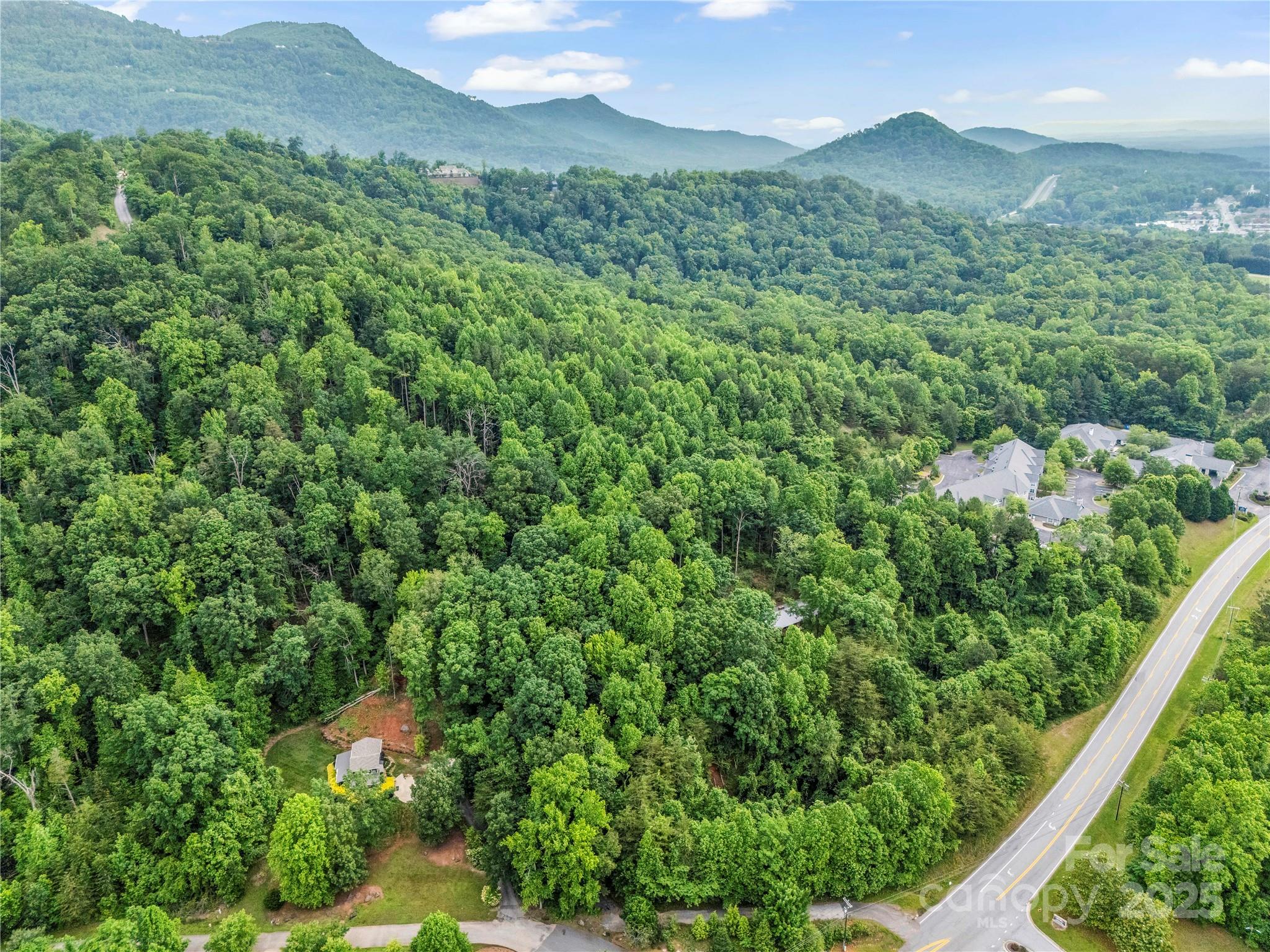 200 Little Wings Mountain Road Columbus, NC 28722 - Photo 34 of 42 a view of a mountain range with lush green forest