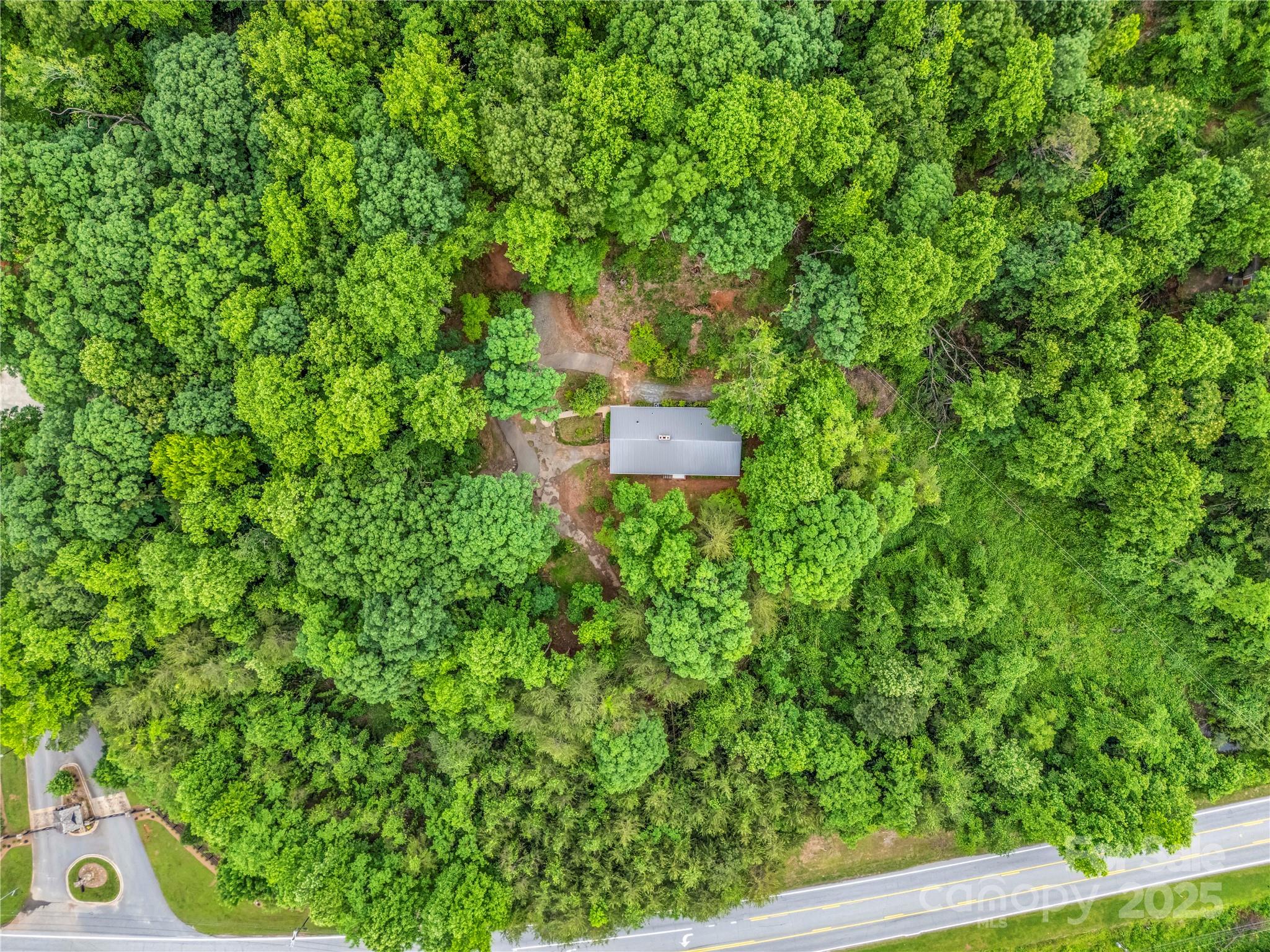 200 Little Wings Mountain Road Columbus, NC 28722 - Photo 36 of 42 a backyard of a house with lots of green space