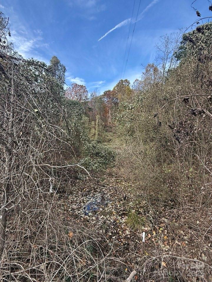 200 Little Wings Mountain Road Columbus, NC 28722 - Photo 38 of 42 a view of a building