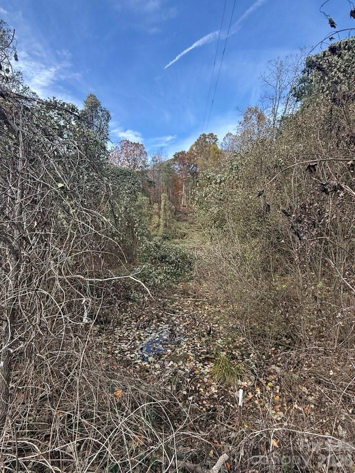 200 Little Wings Mountain Road Columbus, NC 28722 - Photo 38 of 42