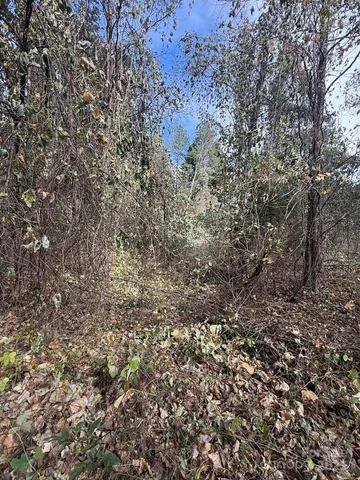 $499,000 | 200 Little Wings Mountain Road, Columbus, NC 28722