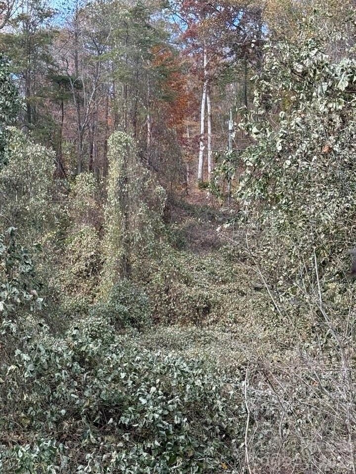 200 Little Wings Mountain Road Columbus, NC 28722 - Photo 41 of 42