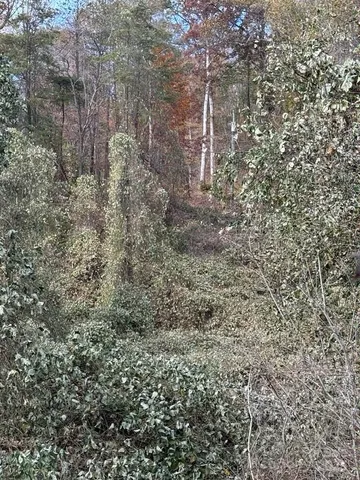 $499,000 | 200 Little Wings Mountain Road, Columbus, NC 28722