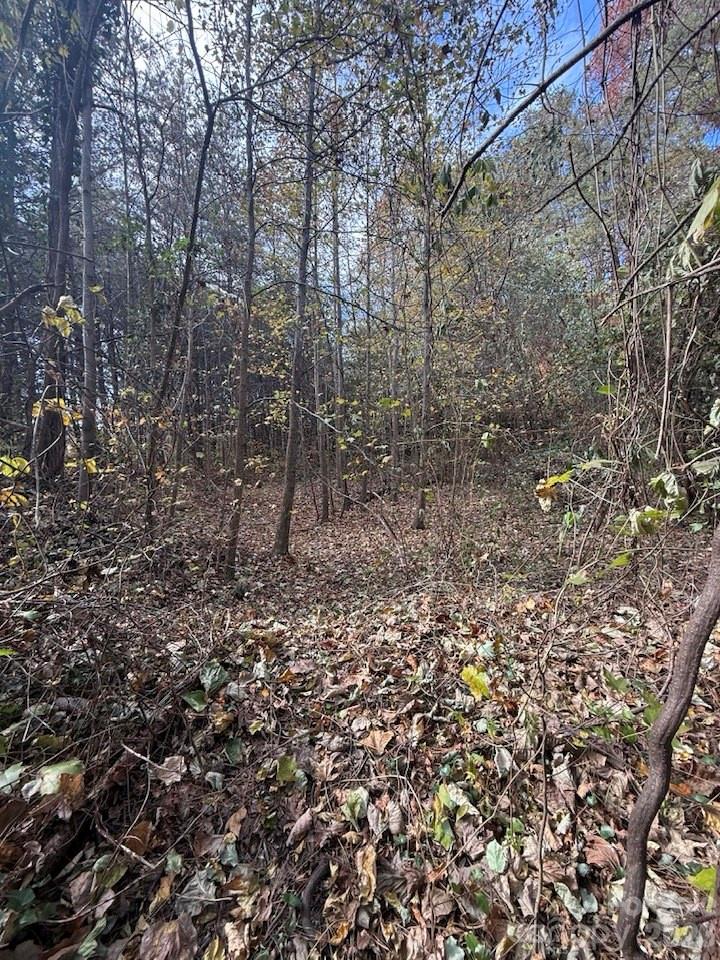 200 Little Wings Mountain Road Columbus, NC 28722 - Photo 42 of 42