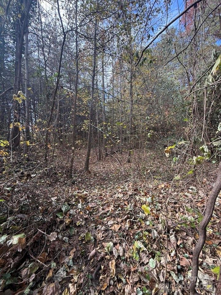 200 Little Wings Mountain Road Columbus, NC 28722 - Photo 42 of 42 a view of a forest that has a tree