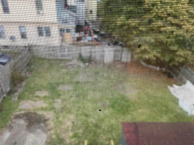 $1,500 | 50 Schubert Street, Binghamton, NY 13905