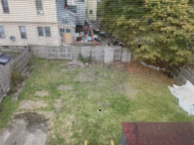 $1,500 | 50 Schubert Street, Binghamton, NY 13905