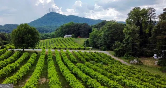 $379,900 | 302 Gumlog Drive, Lavonia, GA 30553