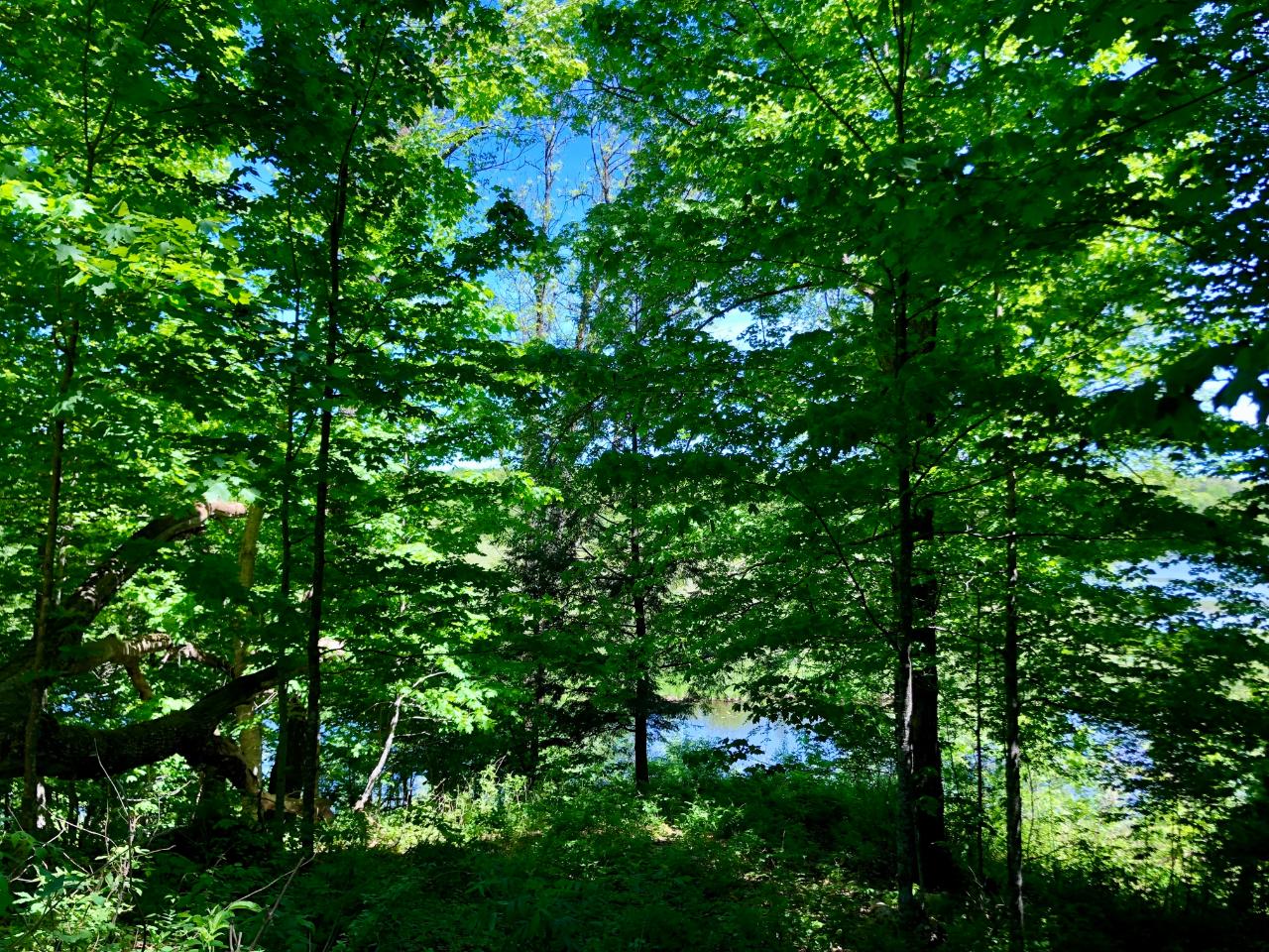 N214 Highview Lane Rib Lake, WI 54470 - Photo 6 of 15 Gallery Image 6