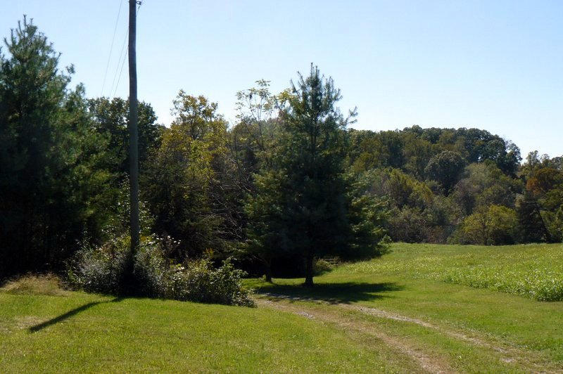 230 Red Pond Road Sweetwater, TN 37874 - Photo 30 of 36 30-P1050692