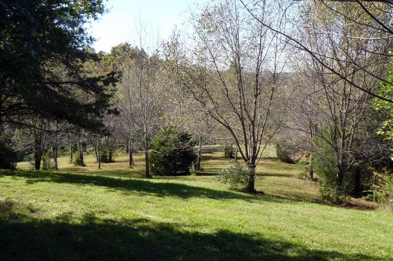 230 Red Pond Road Sweetwater, TN 37874 - Photo 32 of 36 32-P1050694