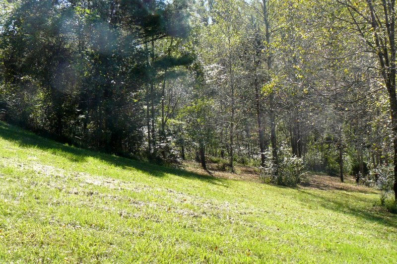 230 Red Pond Road Sweetwater, TN 37874 - Photo 33 of 36 33-P1050697