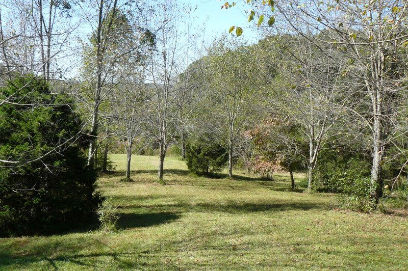 230 Red Pond Road Sweetwater, TN 37874 - Photo 34 of 36 34-P1050698