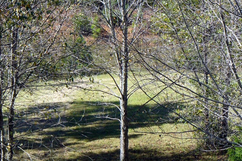 230 Red Pond Road Sweetwater, TN 37874 - Photo 35 of 36 35-P1050703