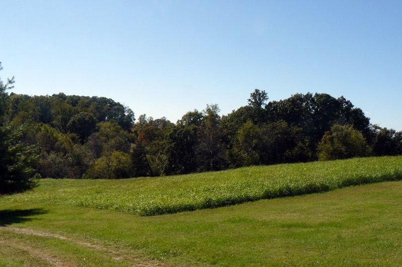230 Red Pond Road Sweetwater, TN 37874 - Photo 9 of 36 09-P1050691