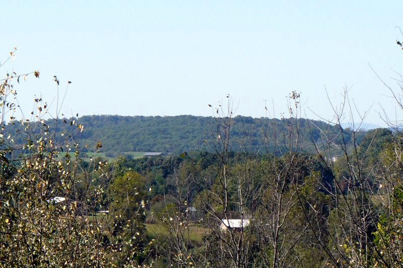 230 Red Pond Road Sweetwater, TN 37874 - Photo 10 of 36 10-P1050704