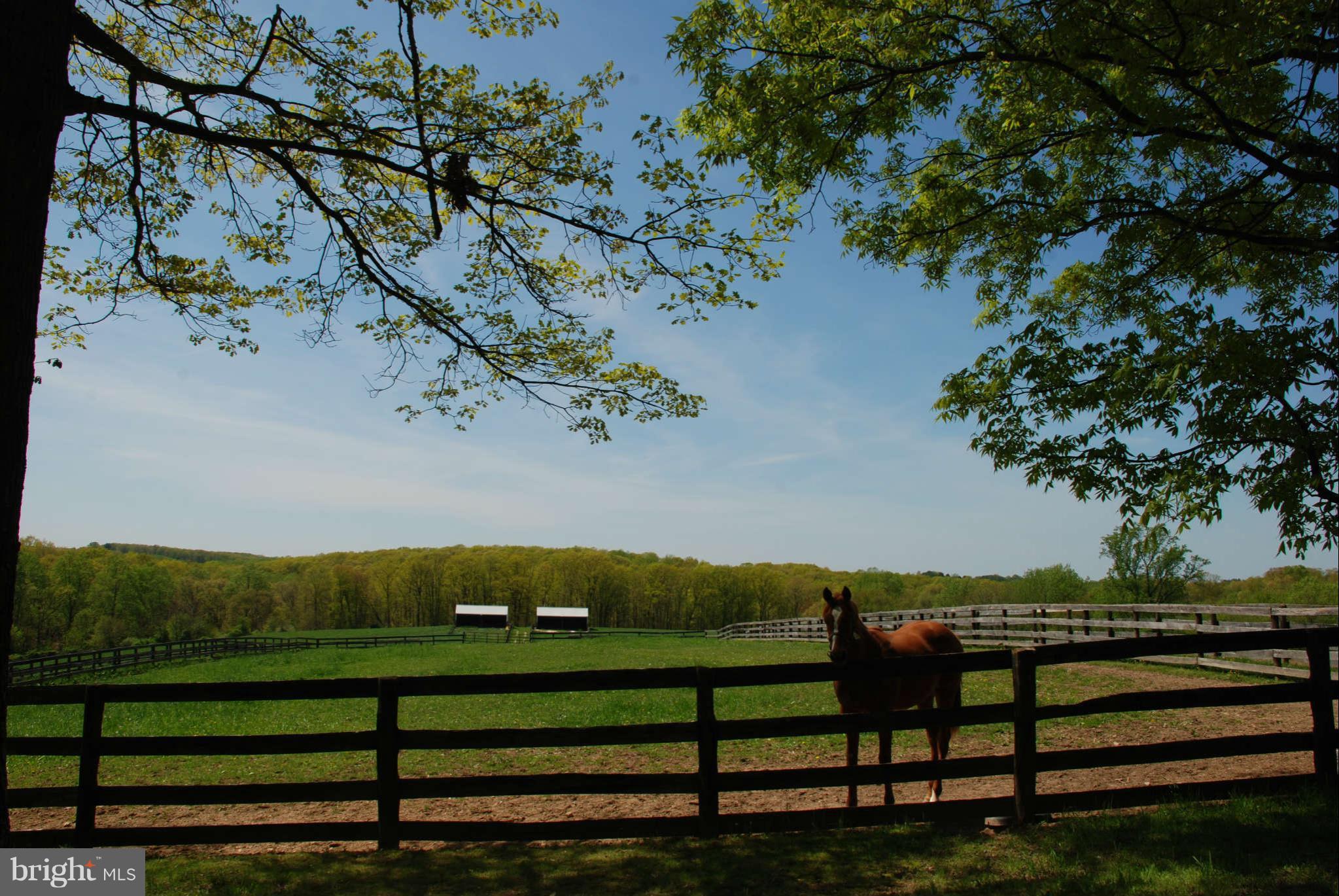 600 Oak Tree Road Westminster, MD 21157 - Photo 12 of 15 View