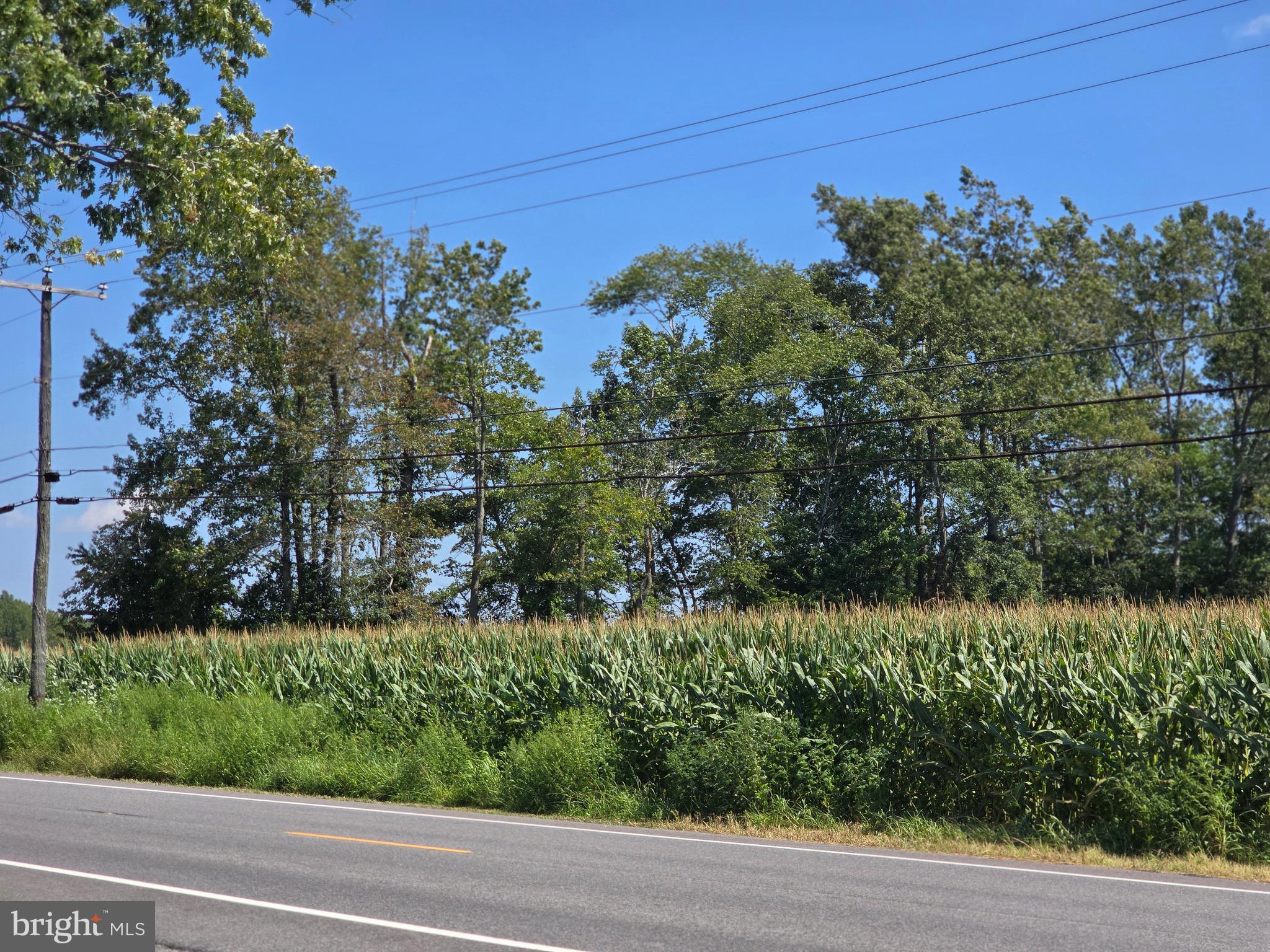 4662 Powellville Road Pittsville, MD 21850 - Photo 21 of 34 a view of a garden