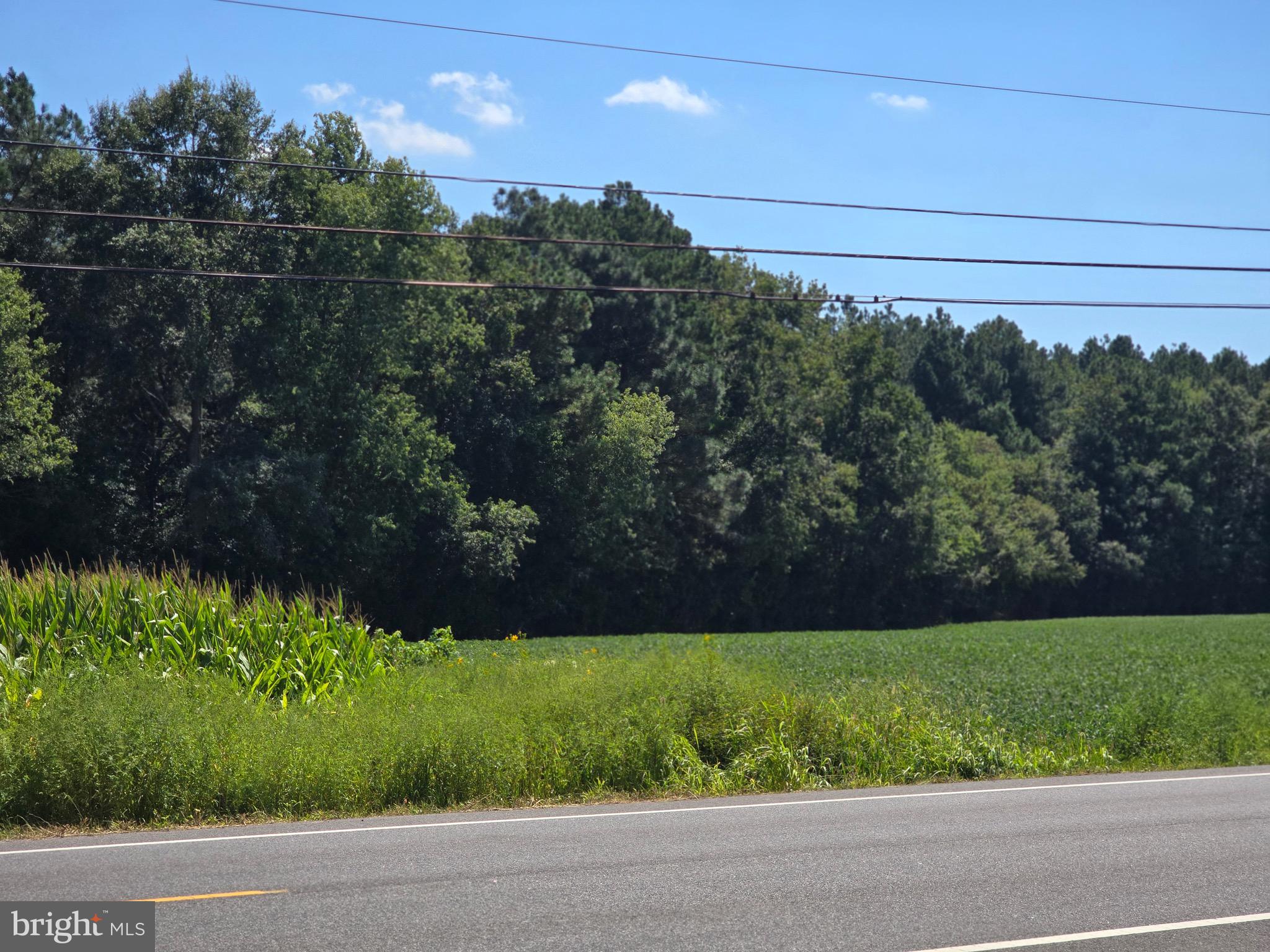 4662 Powellville Road Pittsville, MD 21850 - Photo 22 of 34 a view of a yard