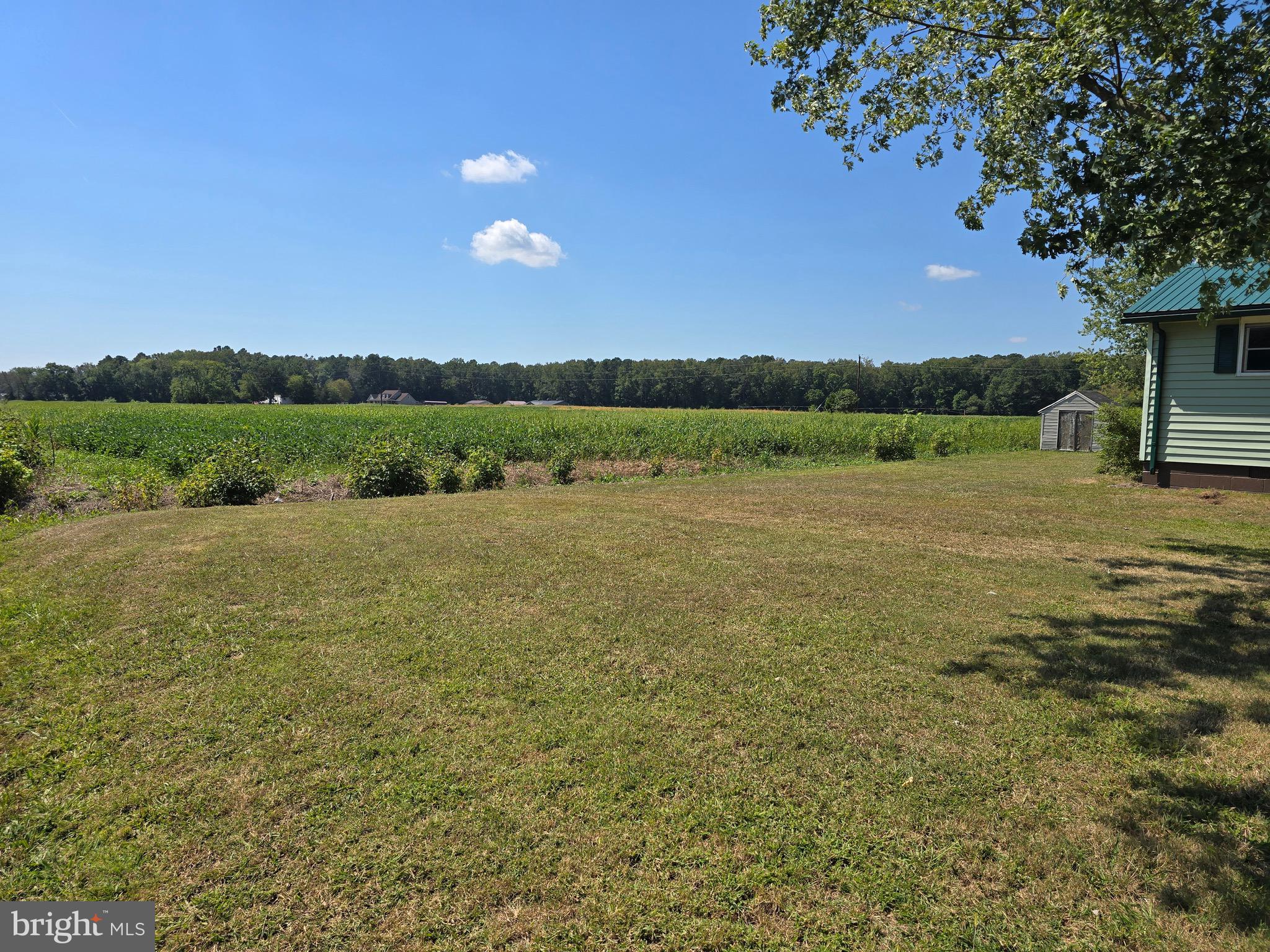 4662 Powellville Road Pittsville, MD 21850 - Photo 25 of 34 a view of lake with mountain
