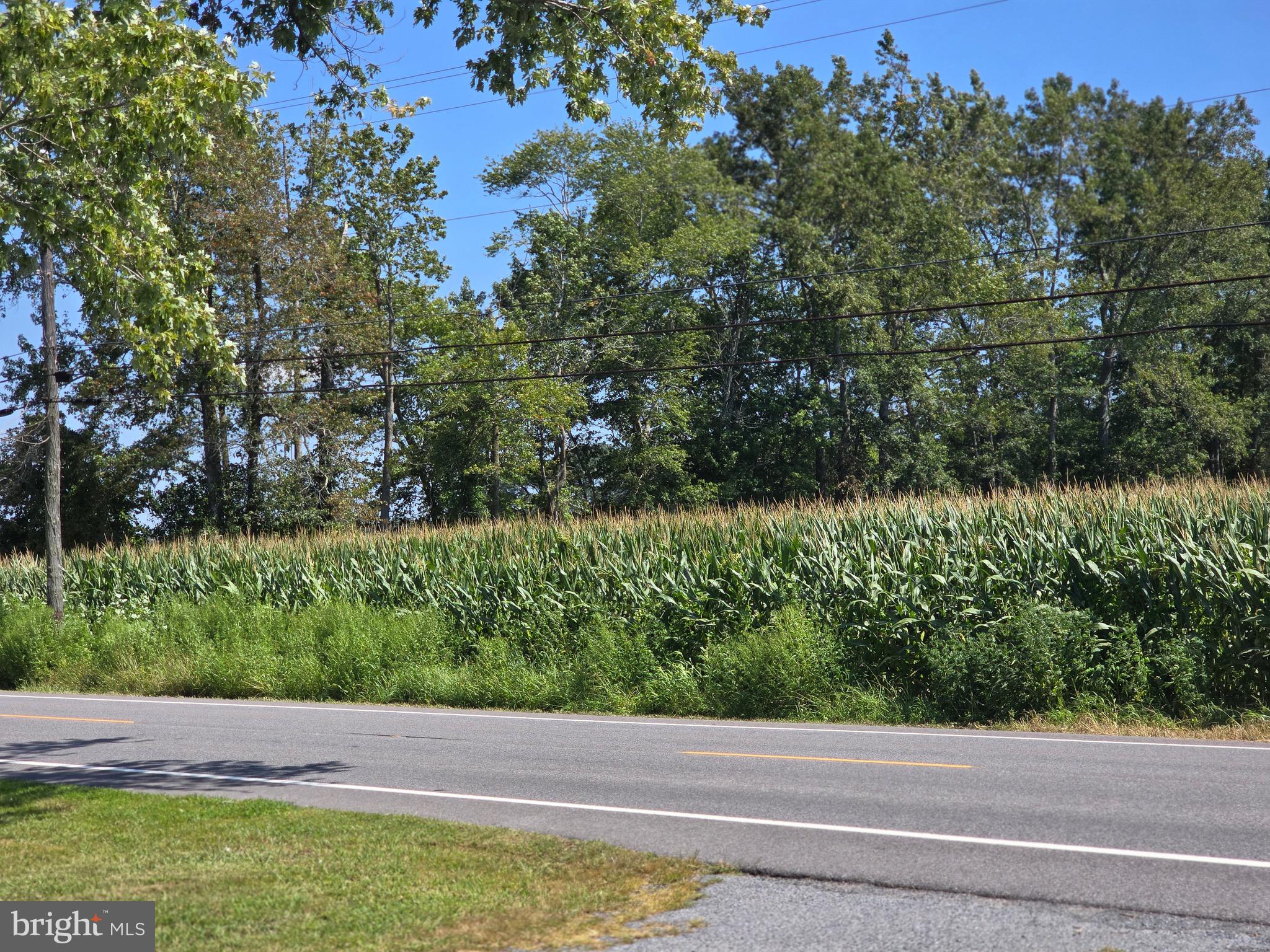 4662 Powellville Road Pittsville, MD 21850 - Photo 33 of 34 a view of yard with green space