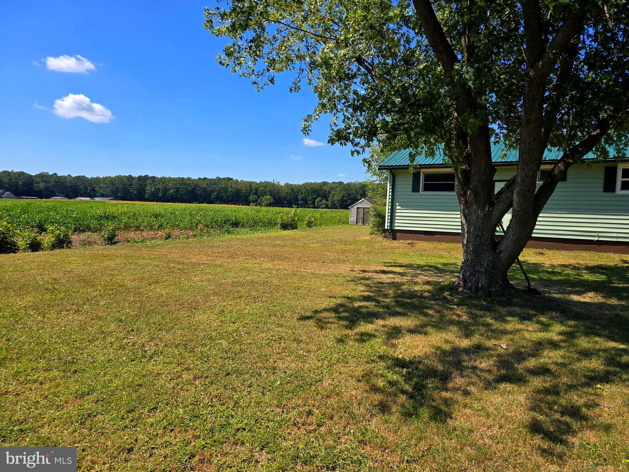 4662 Powellville Road Pittsville, MD 21850 - Photo 34 of 34 a view of a lake with a yard