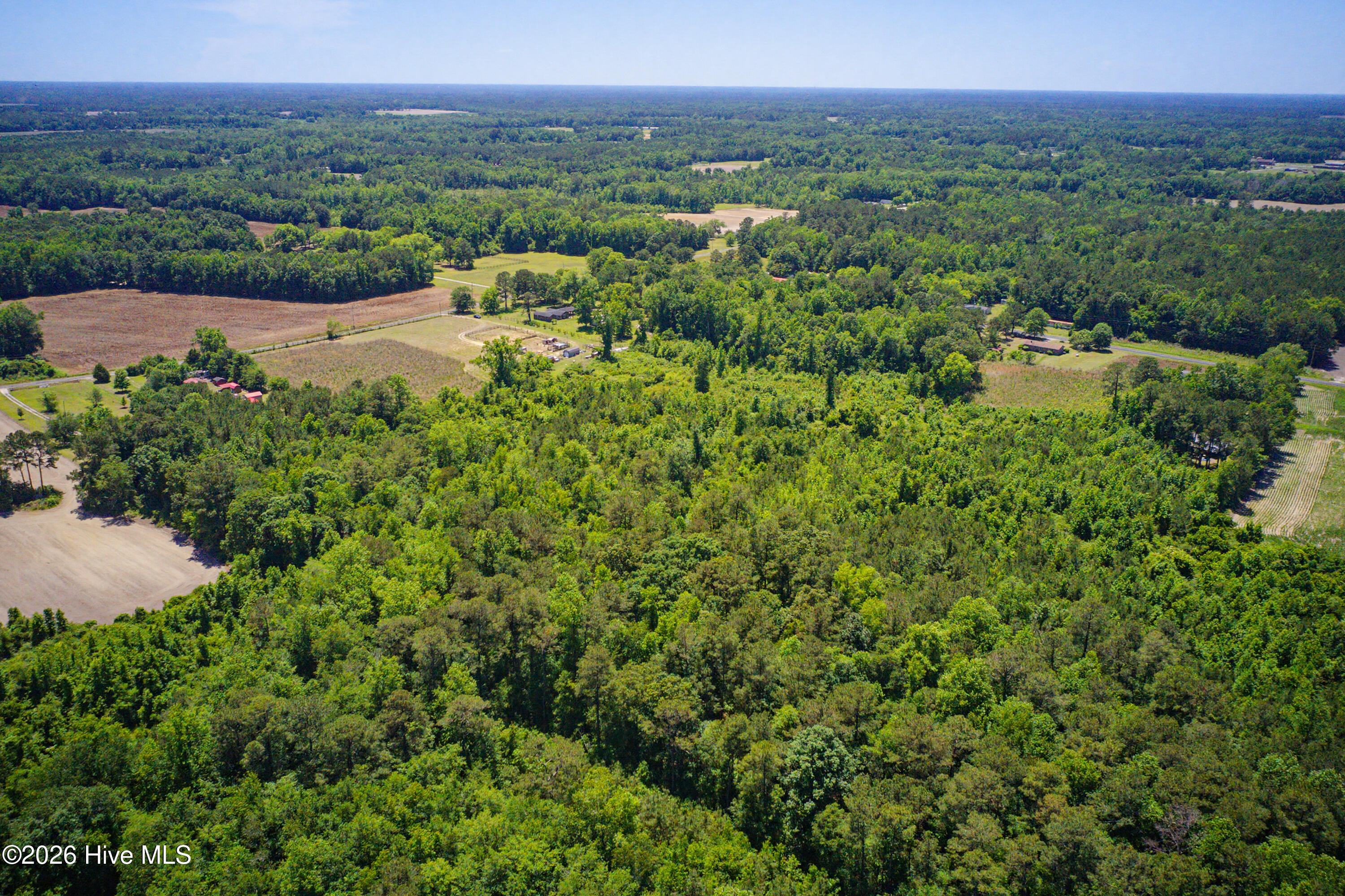 6615 Silver Spoon Road Clarkton, NC 28433 - Photo 9 of 53 MLS_Ready (4 of 40)