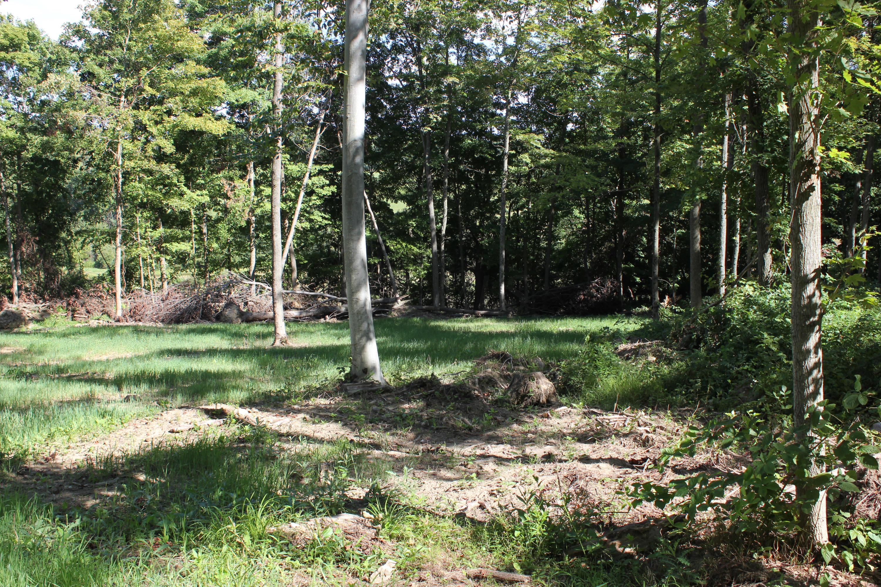 11504 Blue Jay Road Newark, OH 43056 - Photo 7 of 9 Gallery Image 7