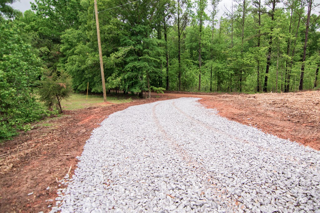 2-0 St Paul Church Road Shiloh, GA 31826 - Photo 25 of 28