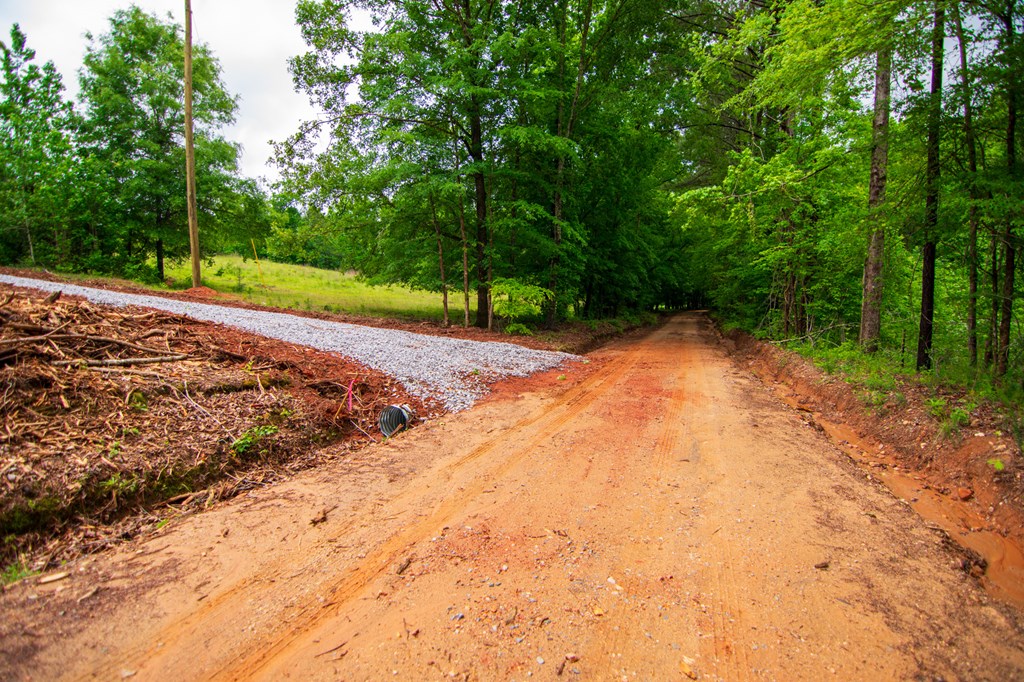 2-0 St Paul Church Road Shiloh, GA 31826 - Photo 26 of 28