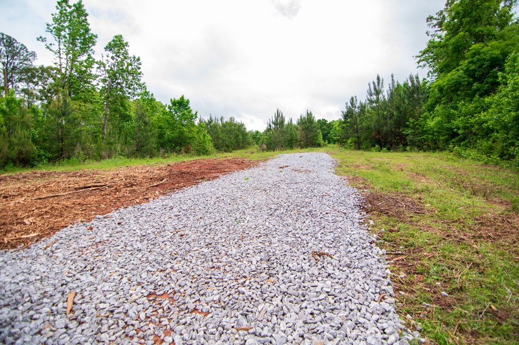 2-0 St Paul Church Road Shiloh, GA 31826 - Photo 28 of 28