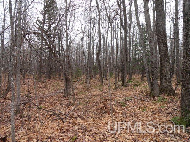 24494 L P Walsh Road White Pine, MI 49971 - Photo 26 of 28