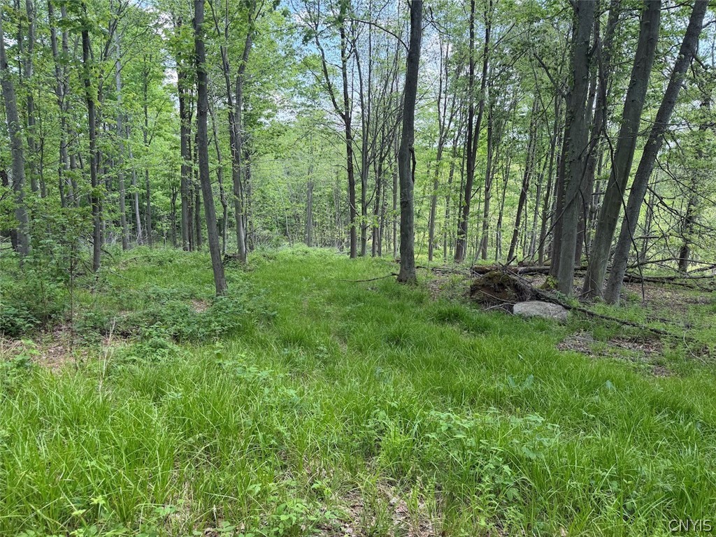 Dye Road South Dayton, NY 14138 - Photo 1 of 27