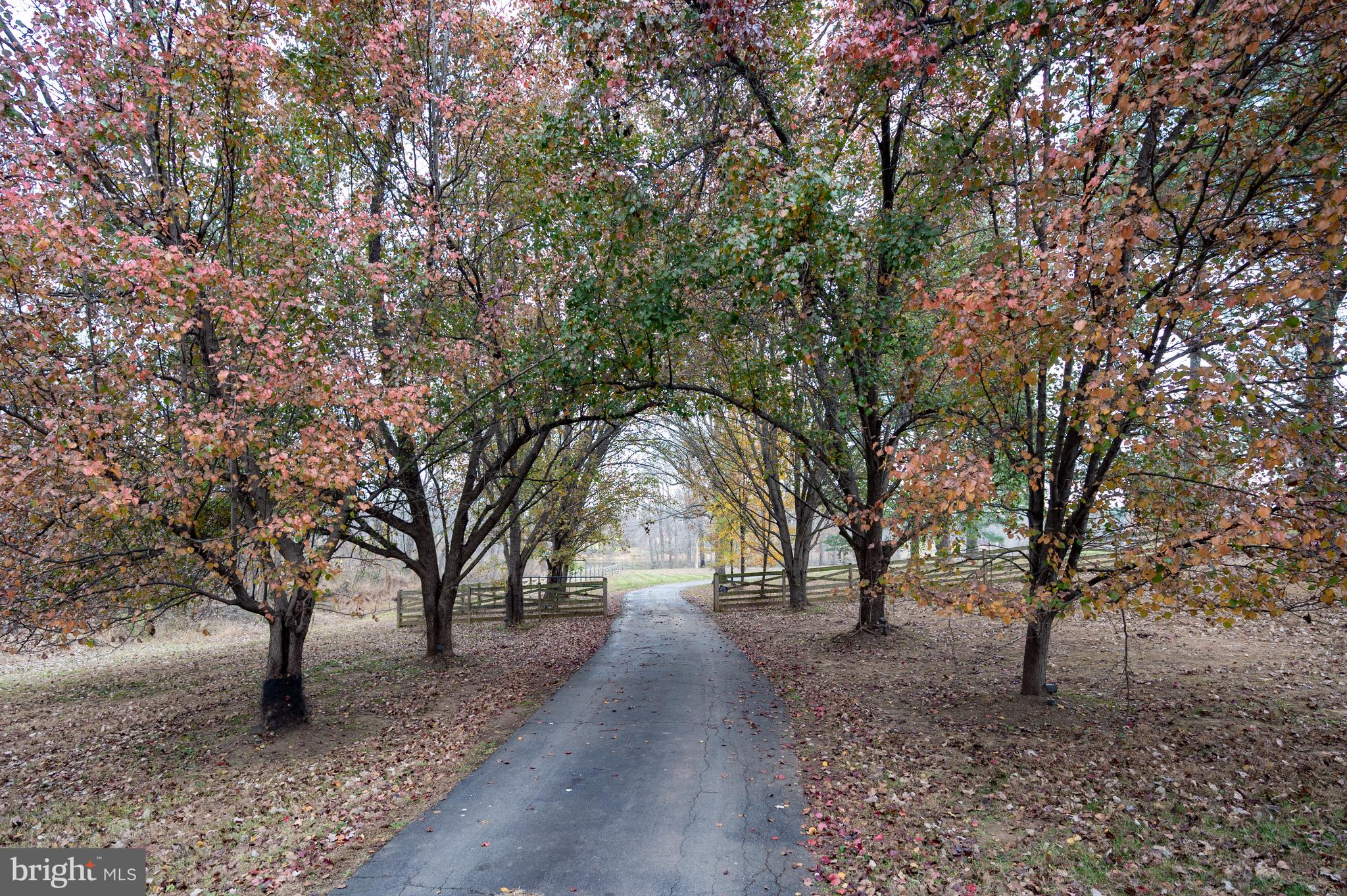 37896 Legard Farm Road Purcellville, VA 20132 - Photo 4 of 117