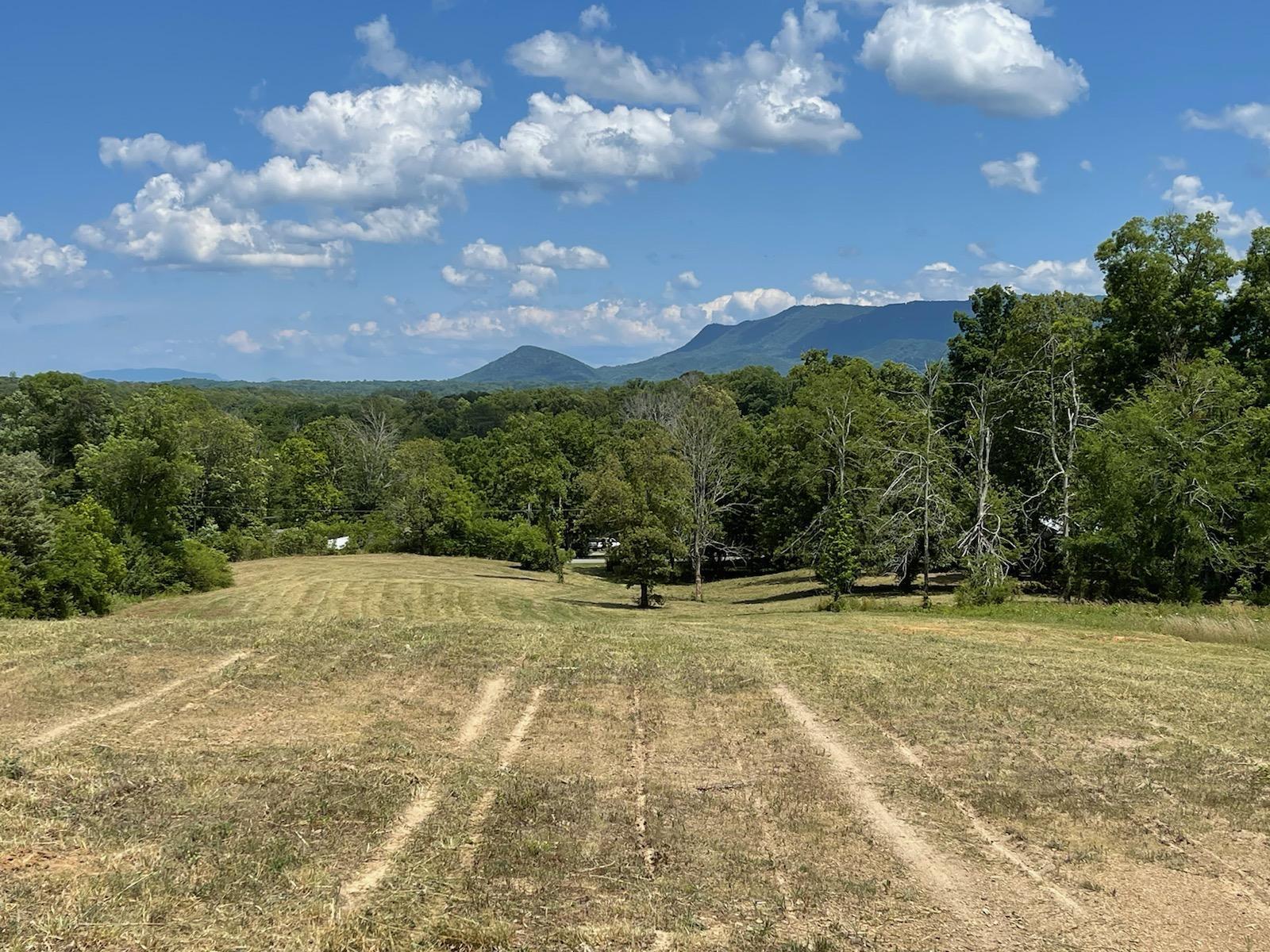 Keener Road Seymour, TN 37865 - Photo 2 of 12 IMG950267
