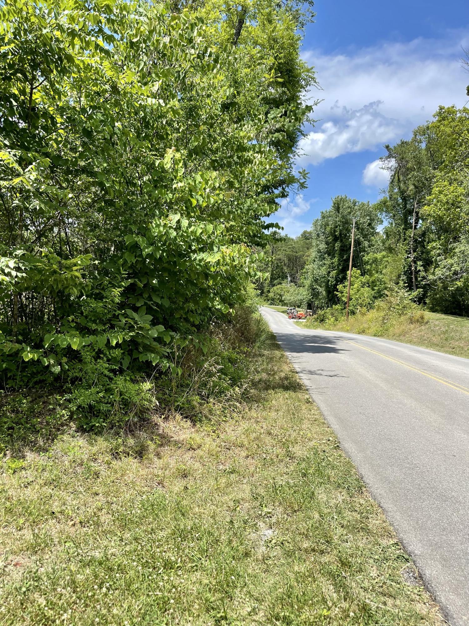 Keener Road Seymour, TN 37865 - Photo 12 of 12 IMG_3670