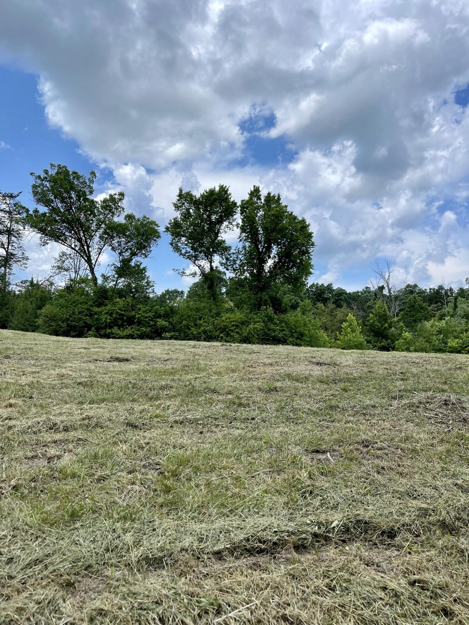 Keener Road Seymour, TN 37865 - Photo 3 of 12 IMG_3659