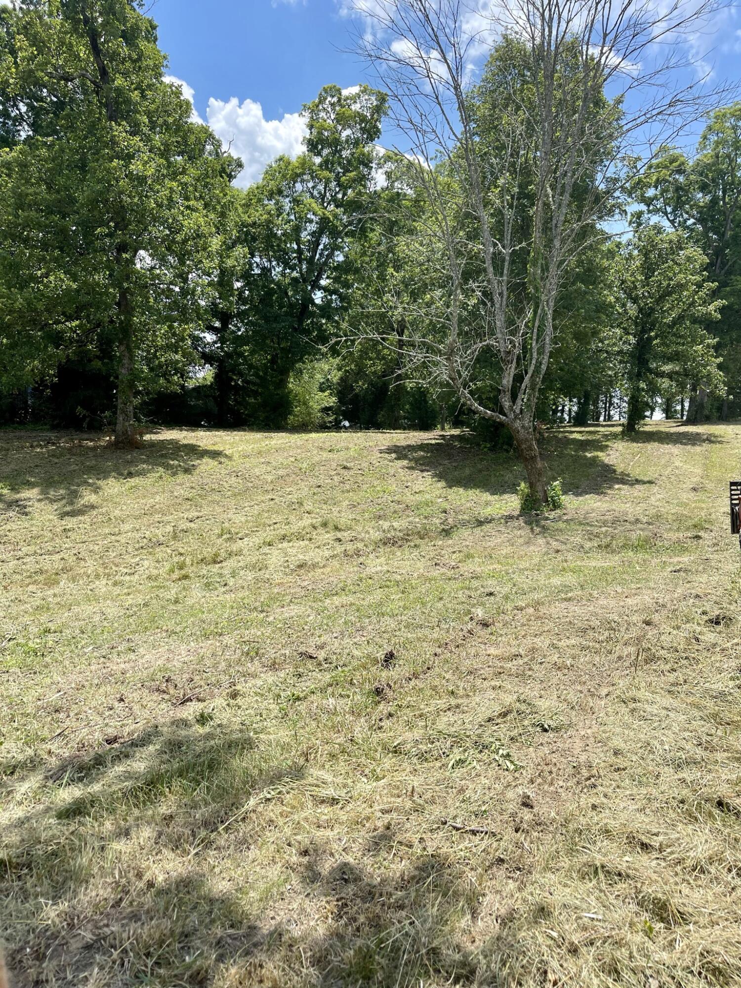 Keener Road Seymour, TN 37865 - Photo 7 of 12 IMG_3664
