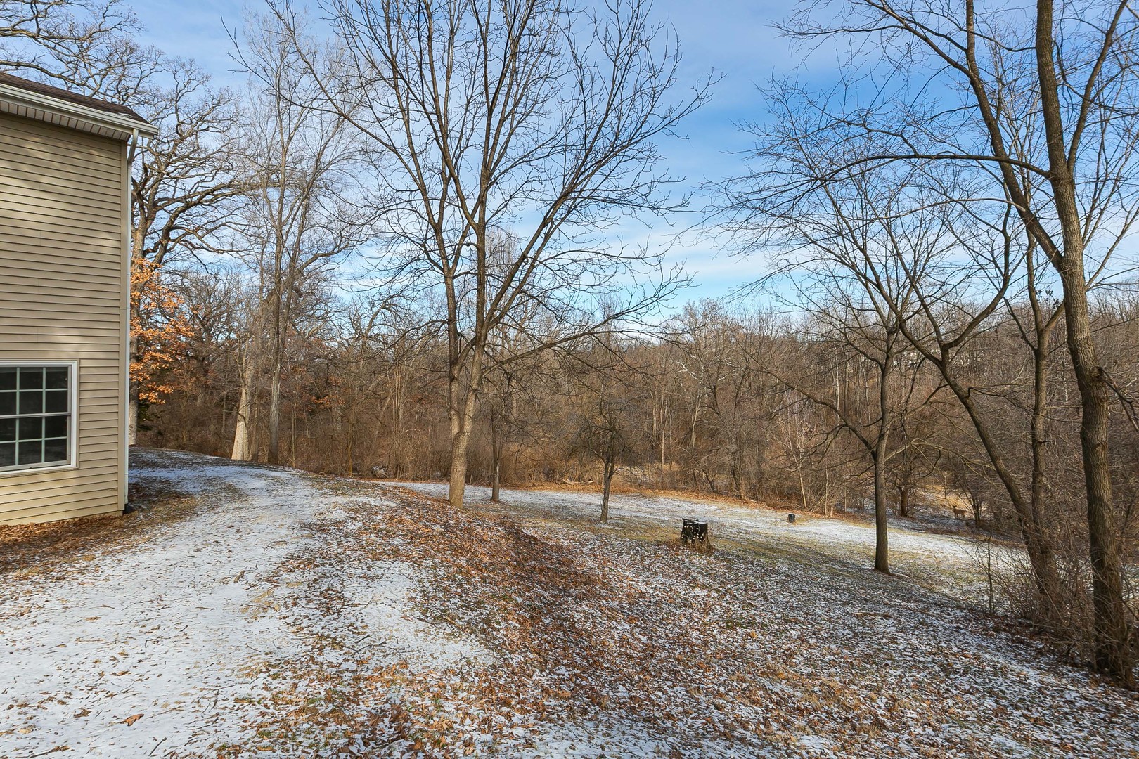 11063 95th Avenue Blue Grass, IA 52726 - Photo 5 of 44