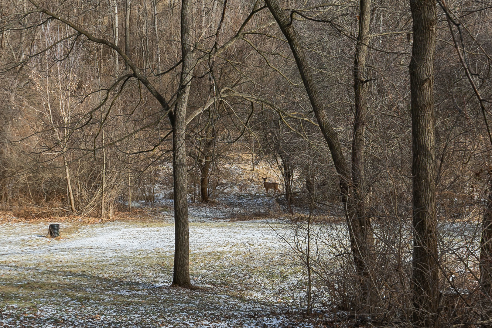 11063 95th Avenue Blue Grass, IA 52726 - Photo 7 of 44