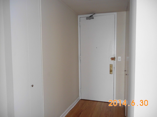 655 West Irving Park Road, Unit 4910 Chicago, IL 60613 - Photo 2 of 22 a view of walk in closet with clothes