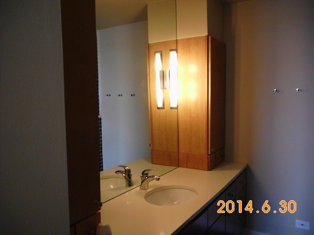655 West Irving Park Road, Unit 4910 Chicago, IL 60613 - Photo 16 of 22 a bathroom with a sink toilet and a mirror
