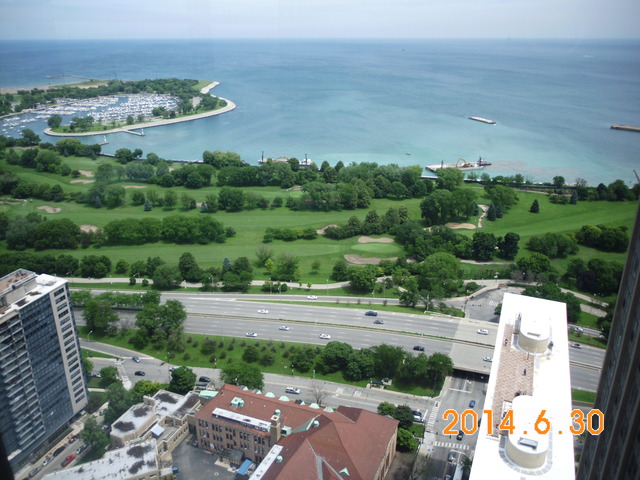 655 West Irving Park Road, Unit 4910 Chicago, IL 60613 - Photo 22 of 22 an aerial view of a house with a garden