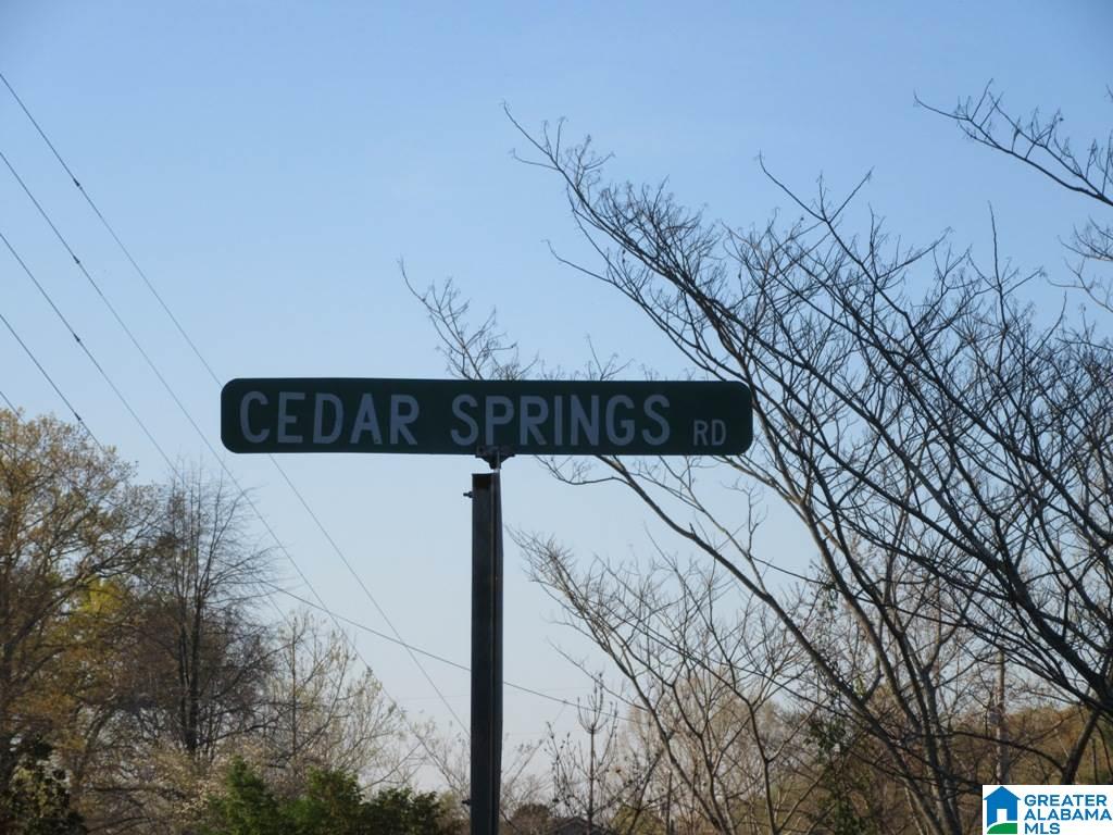 0 Cedar Springs Road, Unit 1 Talladega, AL 35160 - Photo 2 of 8